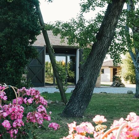Agriturismo Palazzo Baldini Villa Bagnacavallo Dış mekan fotoğraf